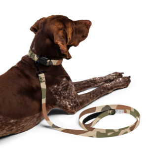 Pet collar & leash